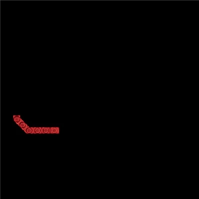 Lámpa hátsó univerzális LED-es NEON 12/24V jobb